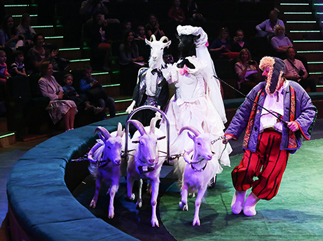 Белгосцирк 26 мая представит программу "Небывальщина"