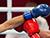 Белорусские и российские боксеры восстановлены в рейтингах WBA