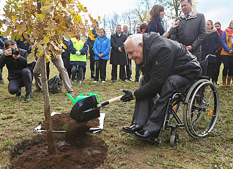 Дуб в честь 70-летия ООН посадили в Гродно