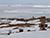 Старт 13-й Белорусской антарктической экспедиции дали в НАН