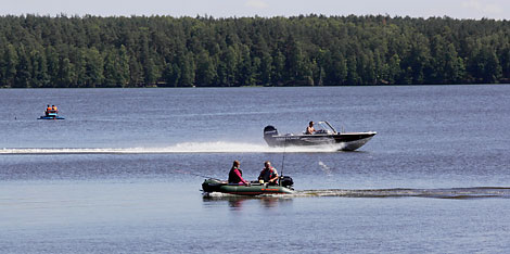 Большая бард-рыбалка