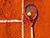 Шиманович и Фомина выиграли парный разряд теннисного турнира в Тунисе