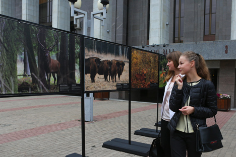 Премьера фильма "Беловежская пуща. Первозданный лес"