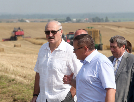 Лукашенко поручил нарастить темпы уборочной