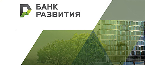 The Development Bank