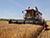 Belarus’ grain harvest over 8.9m tonnes