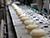 Belarus to launch ice cream production in China