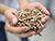 Plans to sell Belarusian wood pellets to Europe