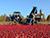 Belarus among world’s largest producers of flax fiber, rye, cranberries