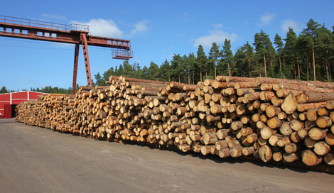 Фото из архива