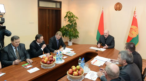 Лукашенко поручил правительству рассмотреть и решить проблемы собственности для фермеров