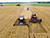 Аграрии Беларуси намолотили более 6,37 млн тонн зерна с учетом рапса