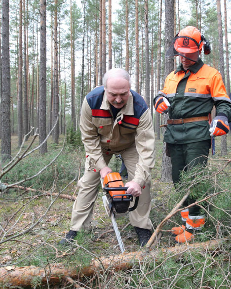 Александр Лукашенко во время посещения Козырского лесничества Логойского лесхоза