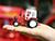Новое сборочное производство белорусских тракторов должно в сентябре появиться в Молдове
