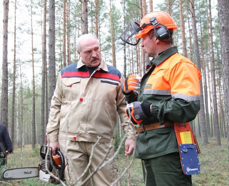 Александр Лукашенко во время посещения Козырского лесничества Логойского лесхоза