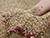 Беларусь планирует в 2020 году получить более 8 млн т зерна
