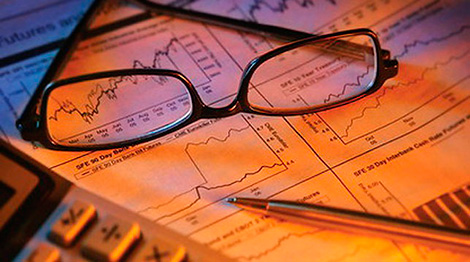 В Беларуси будет создан институт администратора доходов бюджета