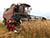 В Беларуси намолочено 8,8 млн т зерна с учетом рапса