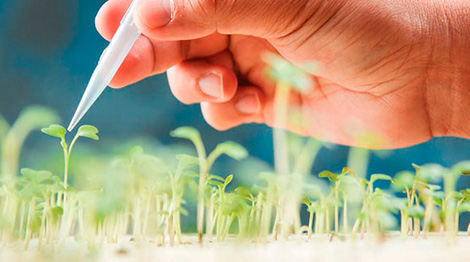 Биотехнологиям в фармацевтике и сельском хозяйстве будет посвящена министерская конференция ЦЕИ в Минске