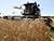 В Беларуси намолочено более 8,5 млн тонн зерна с учетом рапса
