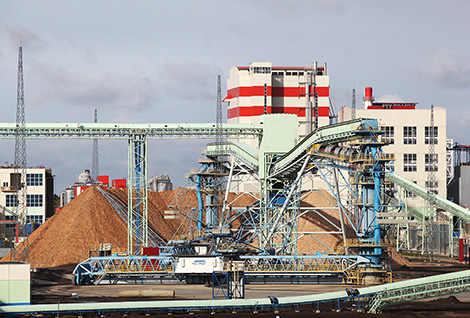 Беларусь начнет экспортировать сульфатную беленую целлюлозу в 2018 году