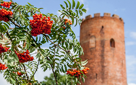 Акцыя "Ноч у музеі" пройдзе ў Камянецкай вежы Акцыя "Ноч у музеі" пройдзе ў Камянецкай вежы