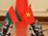 卢卡申科：白罗斯与越南的关系逐步发展并保持坚实的友好性