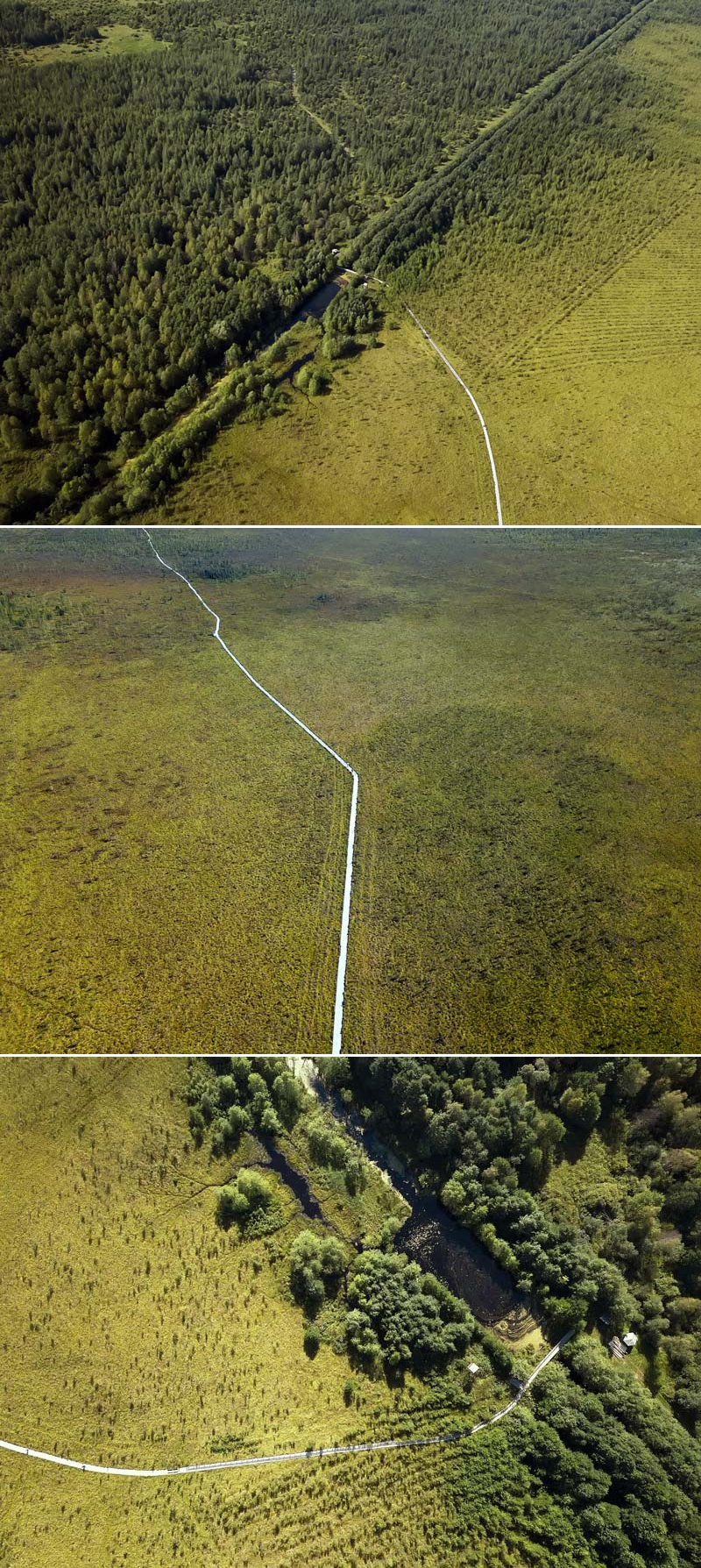 Ельня – самое большое верховое болото в Беларуси