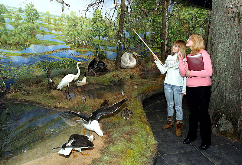 Nature Museum in the National Park Pripyatsky