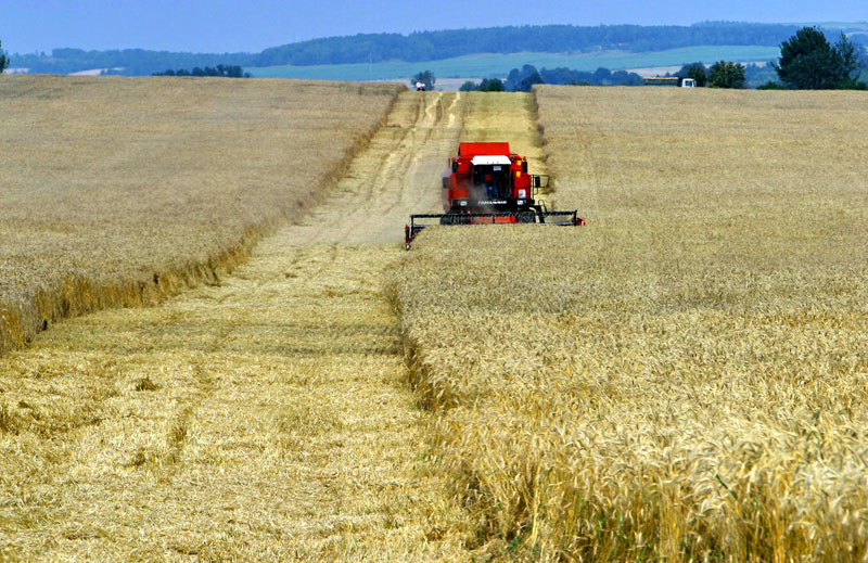 多尔斯基农业公司在农田工作。