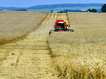多尔斯基农业公司在农田工作。