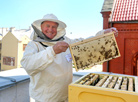 Beekeeping on the roof of the famous Red Church in Minsk