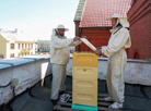 Priest Vladislav Zavalnyuk and beekeeper Ivan Dormachenok