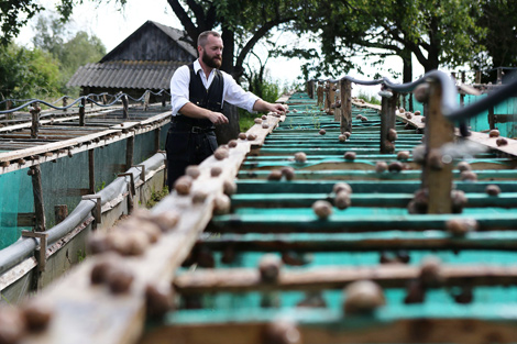 The farm’s manager and owner Vladimir Rabkov