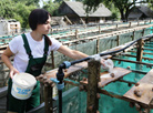 Victoria Rabkova feeds snails