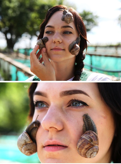 Snails for a face mask