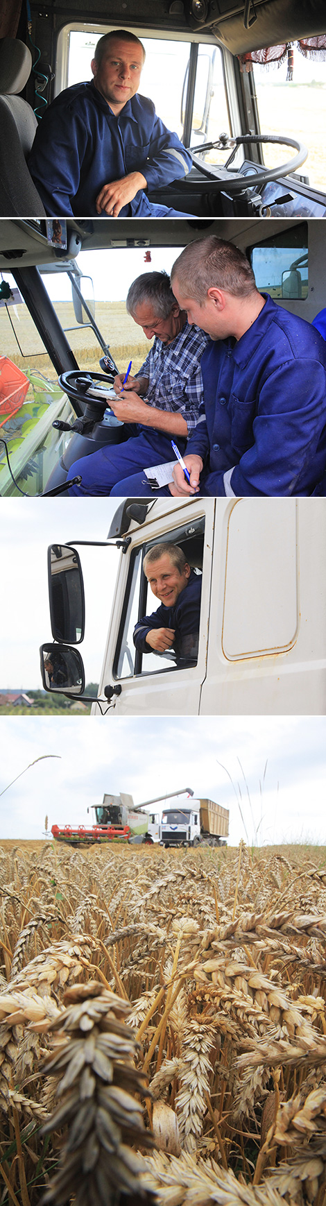 Вадзіцель ААТ 