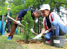 孩子们种植小树是白、叙友谊的重要见证