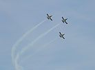 Air Force Day in Borovaya