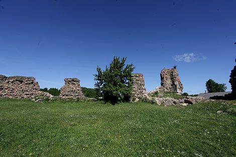 Крэўскі замак
