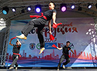 Confucius Institute Day in Minsk