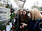 Moldovan wine festival in Minsk