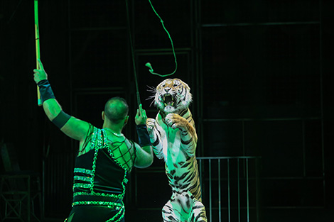 International Circus Art Festival in Minsk