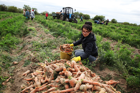 Agro-expedition: Best shots of fruitful autumn