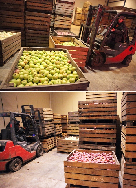 Vegetable warehouses of OAO Kombinat Vostok, Gomel District