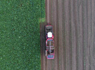 Autumn harvest 2017 in Belarus: Colorful photos from Belarusian fields