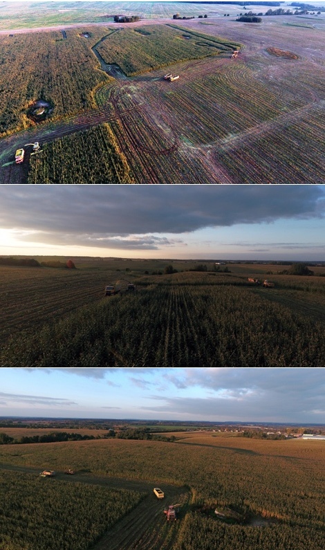 Bird’s eye view of autumn harvest