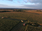 Bird’s eye view of autumn harvest