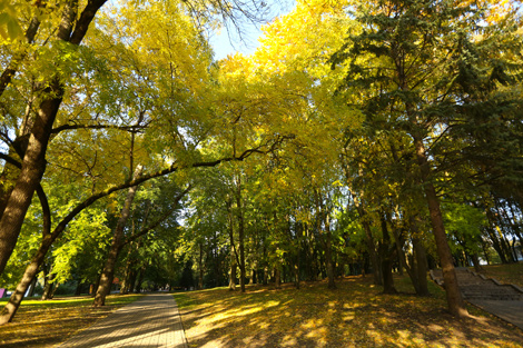 Minsk Autumn