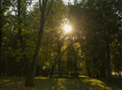 Minsk Autumn